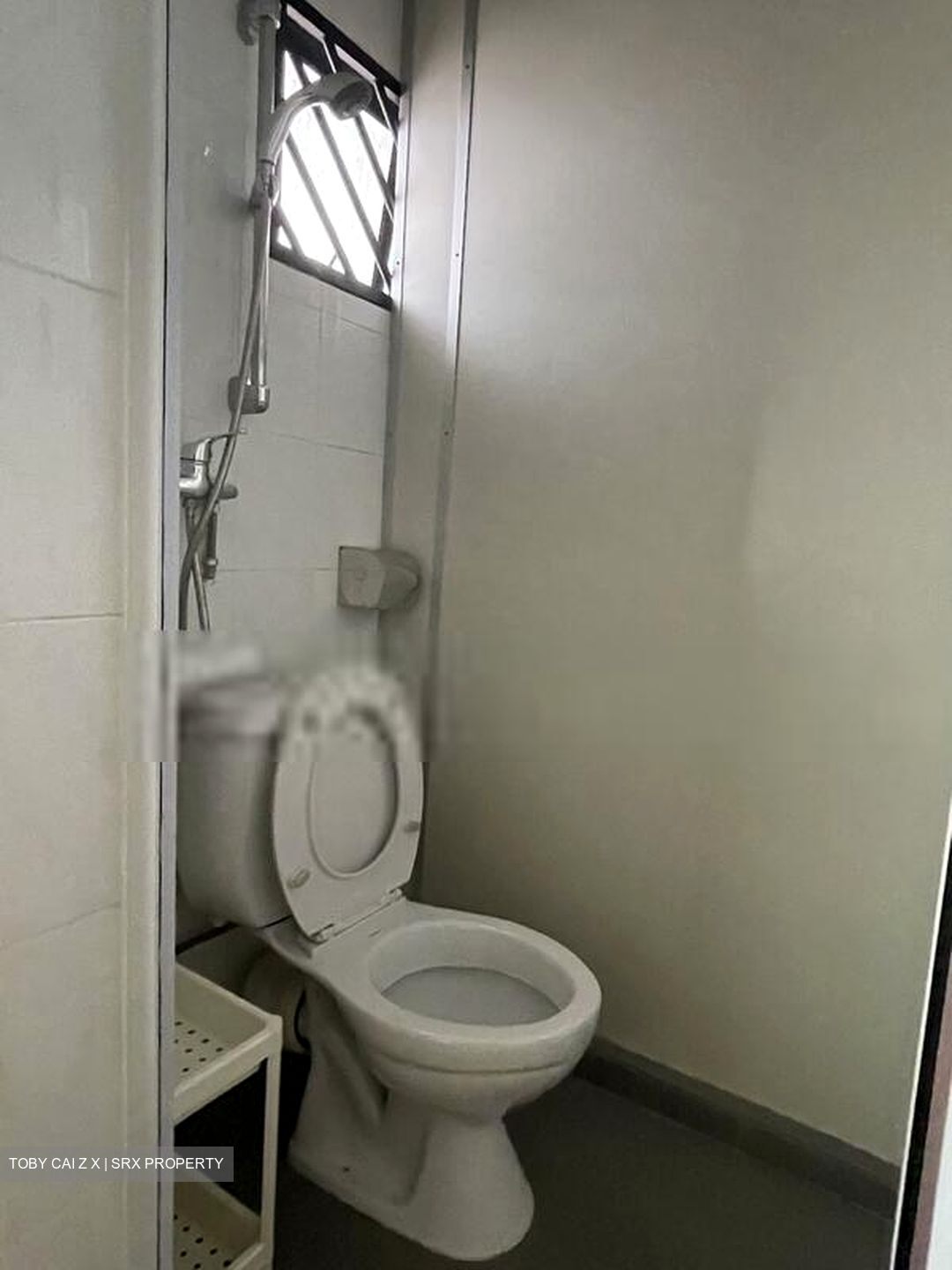 Thomson Garden Estate (D20), Terrace #419364921